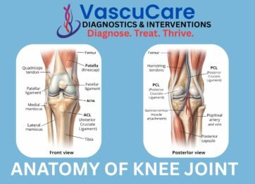 WHEN SHOULD YOU SEE A KNEE PAIN DOCTOR