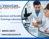 Role of Pathology Labs in Early Disease Detection Why Timely Testing Matters